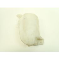 Reservoir de lave glace avant