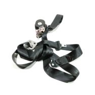 Ceinture arriere gauche