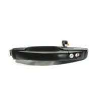 Poignée extérieure avant gauche