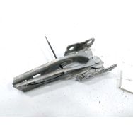 Jeu de charnieres de capot