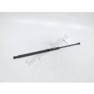 Vérin gauche de capot