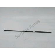 Verin gauche de capot