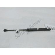 Vérin gauche de capot