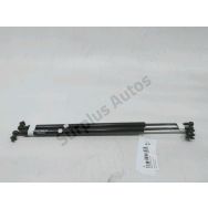 Vérin de glace hayon