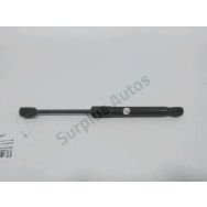 Verin gauche de capot