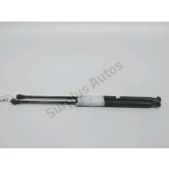 Vérin de glace hayon