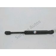 Verin gauche de capot