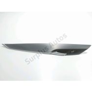 Poignée intérieure porte avant gauche