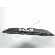 Poignée extérieure de hayon