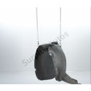 Pare-boue avant droit