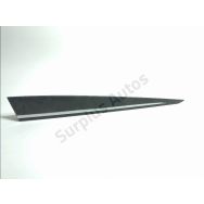 Protection porte av d