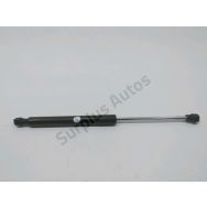 Verin gauche de capot