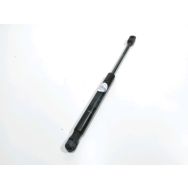 Verin gauche de capot