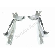 Jeu de charnieres de capot