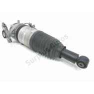 Amortisseur arrière gauche
